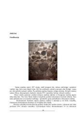 Statybos procesai 13 puslapis