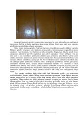 Statybos procesai 15 puslapis