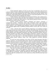 Atpažinimo sistemos modelis 3 puslapis