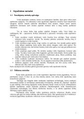 Atpažinimo sistemos modelis 4 puslapis