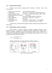 Atpažinimo sistemos modelis 5 puslapis