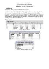 Duomenų bazių steigimas 6 puslapis