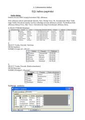 Duomenų bazių steigimas 7 puslapis