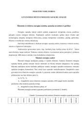 Energetika. Praktinis ir laboratoriniai darbai 2 puslapis