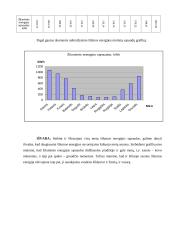 Energetika. Praktinis ir laboratoriniai darbai 3 puslapis