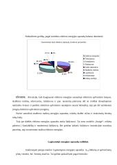 Energetika. Praktinis ir laboratoriniai darbai 6 puslapis