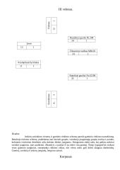 Gaminio rinkimas: surenkama pavarų dėžė 5 puslapis