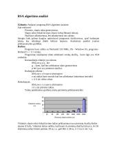 RSA algoritmo analizė