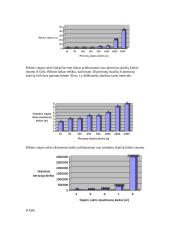 RSA algoritmo analizė 2 puslapis