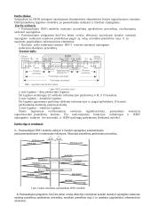 Skaitmeninės abonentinės linijos signalizacijos sistema (DSS1) 2 puslapis