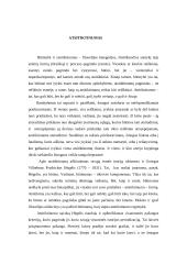 Atsitiktinumai 2 puslapis