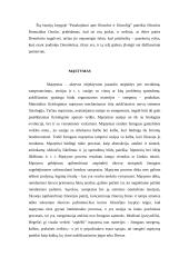 Atsitiktinumai 4 puslapis