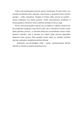 Atsitiktinumai 6 puslapis