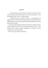 Atsitiktinumai 7 puslapis