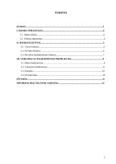 Bano taktinis veiklos planavimas vieneriems metams 2 puslapis