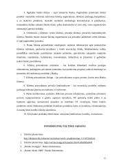 Bano taktinis veiklos planavimas vieneriems metams 11 puslapis