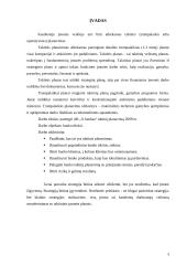 Bano taktinis veiklos planavimas vieneriems metams 3 puslapis