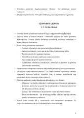 Bano taktinis veiklos planavimas vieneriems metams 5 puslapis