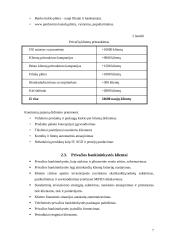 Bano taktinis veiklos planavimas vieneriems metams 7 puslapis