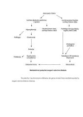 Cukrinio diabeto diagnostika 10 puslapis