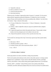 Dalykinis bendravimas: "Swedbank" 11 puslapis