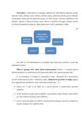 Darni plėtra 2 puslapis