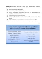 Darni plėtra 4 puslapis