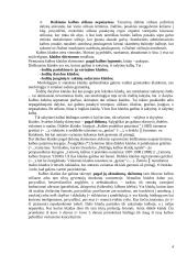 Didžiosios lietuvių kalbos klaidos 5 puslapis