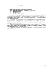 Didžiosios lietuvių kalbos klaidos 6 puslapis