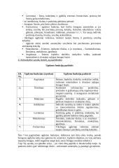 Edukologija - ugdymo užduotys 3 puslapis