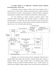 Ekonomikos sąvoka. Istorinės ekonomikos formos 5 puslapis