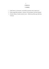 Ekonomikos teorinės ir praktinės užduotys 1 puslapis