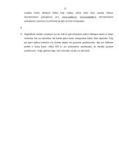 Elektroninės parduotuvės analizė: "Neriba.lt" 10 puslapis