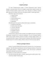 Elektroninės parduotuvės analizė: "Neriba.lt" 4 puslapis