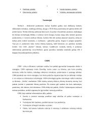 Elektroninės parduotuvės analizė: "Neriba.lt" 6 puslapis