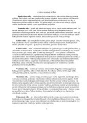 Elgesio normos Lietuvoje 5 puslapis