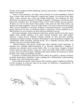 Augalų bei gyvūnų evoliucija 4 puslapis