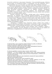Žmogaus ir žinduolių evoliucija 5 puslapis