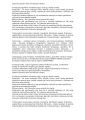 Žmogaus ir žinduolių evoliucija 7 puslapis