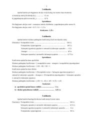 Finansų užduotys apie apyvartumą 2 puslapis