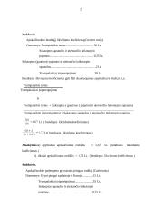Finansų savarankiškas darbas 2 puslapis