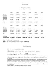 Finansinė analizė: mažmeninė prekyba automobiliais 4 puslapis