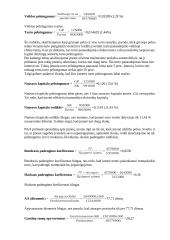 Finansinė analizė: mažmeninė prekyba automobiliais 5 puslapis