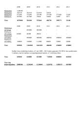 Finansinė analizė: mažmeninė prekyba automobiliais 7 puslapis