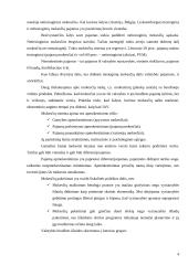 Fiskalinė politika kaip valstybės finansų naudojimas 4 puslapis