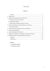 Hidropavara ir hidraulinis cilindras 2 puslapis