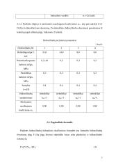 Hidropavara ir hidraulinis cilindras 5 puslapis