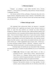Idealus mokytojas 2 puslapis