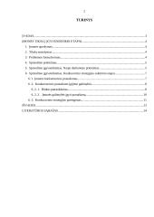 Įmonės analizė: langų, durų ir fasado elementų gamyba UAB "Langitas" 2 puslapis