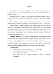 Įmonės analizė: langų, durų ir fasado elementų gamyba UAB "Langitas" 3 puslapis